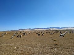 -青海湖国家重点风景名胜区