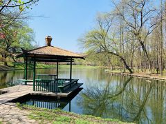 -上海共青森林公园