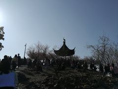 -香雪海