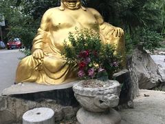 -沣峪森林公园龙潭戏水景区