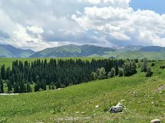 -西贝莜面村(上海百联西郊店)