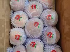 -上海龙吴水胜海发市场