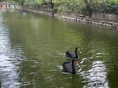 -深圳野生动物园