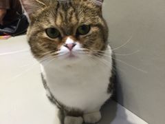 -小时光咖啡馆(开森度假森林店)