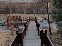 -莲花池公园