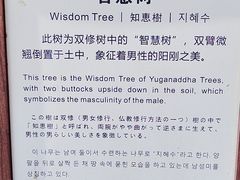 -普乐寺