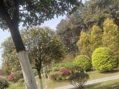 -铁山坪森林公园