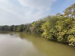 -海珠湖公园
