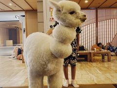 -中粮·祥云小镇