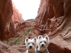 -天山神秘大峡谷