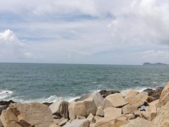 -广东惠东海龟国家级自然保护区