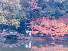 -西湖外事游船(花港观鱼码头)