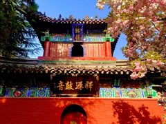 -洛阳白马寺