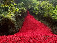 -焦作青龙峡风景名胜区