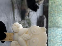 -上海野生动物园