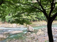 -岚山嵯峨野观光小火车