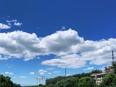 -马家湾湿地公园