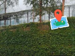 -泉州海丝野生动物世界