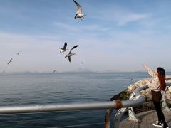 -东港音乐喷泉广场