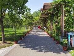 -狼山风景名胜区