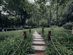 -习家池