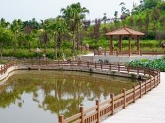 -建华生态湿地百荷园