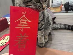 -爱派特动物医院·全科诊疗中心