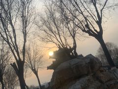 -河北省园博园