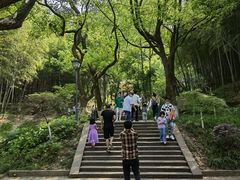 -峙山公园