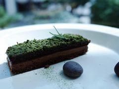 苔藓-知亘茶食
