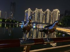 -西北湖绿化广场