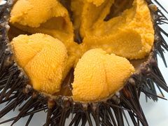 -海胆小馆(东北水饺·春柳店)