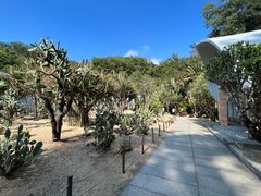 -深圳仙湖植物园