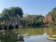 -中国科学院西双版纳热带植物园