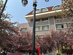 -天津五大道文化旅游区