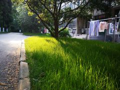-南京航空航天大学(明故宫校区)