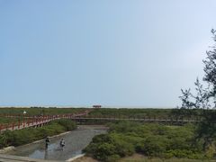 -北海金海湾红树林生态旅游区