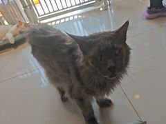 -平行世界·猫咖(首经贸店)