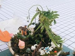 -嘉北郊野公园