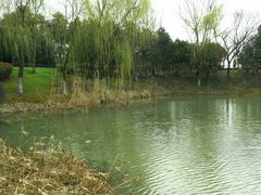 -尚贤河湿地