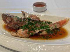 -皇朝尊会(龙之梦大酒店)