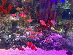 -沈阳海洋探索中心