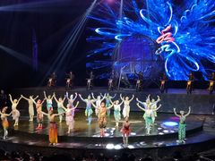 -水秀国际大剧院