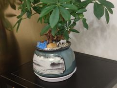 -宁海食府·涌宴(真和店)