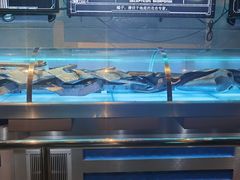 -变形金刚3D对决之终极战斗