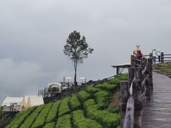 -鹿院坪生态旅游景区