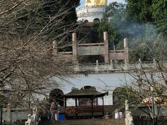 -苏州上方山国家森林公园