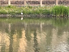 -美兰湖景区