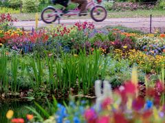 -上海共青森林公园