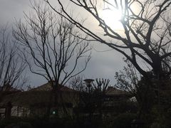 -苏州湾王焰温泉度假酒店
